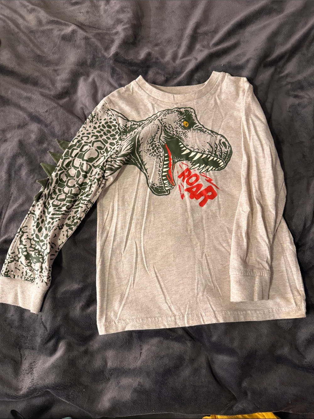 Kids Long Sleeve Dinosaur Tee - Gray with Green Print